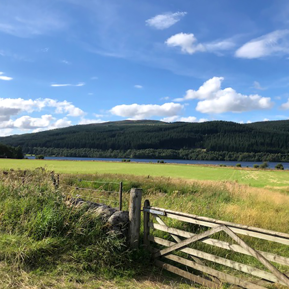 BijFrancisca in Enkhuizen – coaching en administratieve ondersteuning