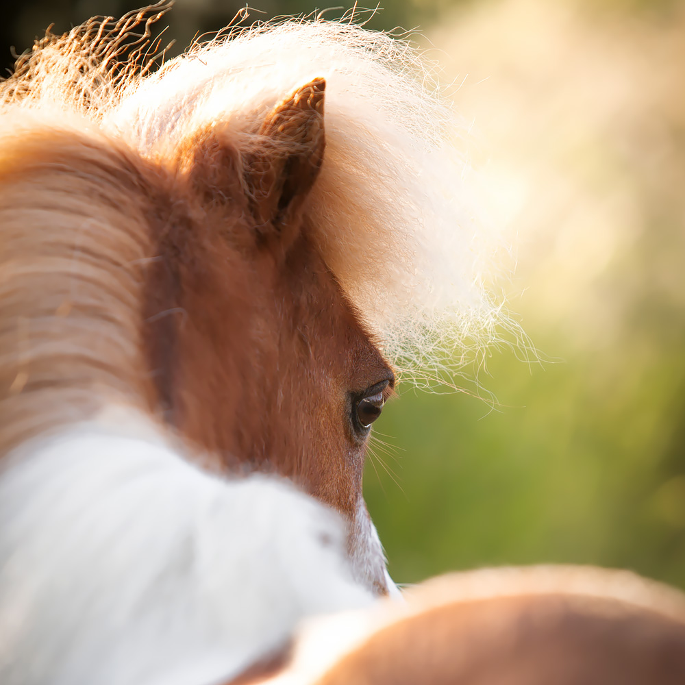 Bij Francisca – veel gegeven antwoorden